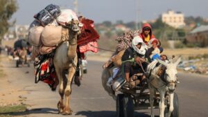 1a81918c-25ce-4564-87bb-7fc7b3d33d25-1