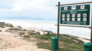 The-bodies-of-the-women-were-found-in-the-Wolfgat-Nature-Reserve-File-Picture-Independent-Newspapers